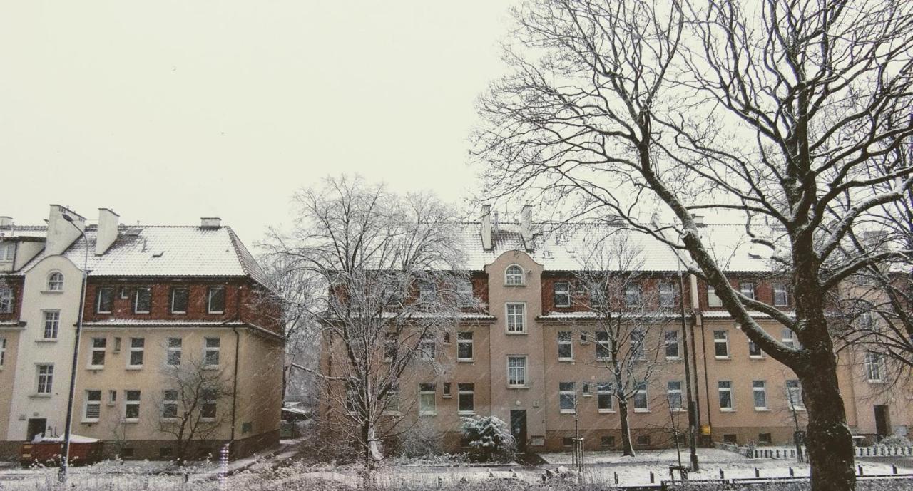 Zielona Kamienica Apartment *